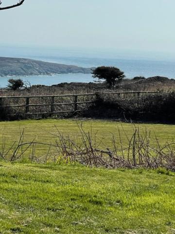 ホーリーヘッド The Little Garden Hideaway With Stunning Sea Views And Garden Bed & Breakfast エクステリア 写真