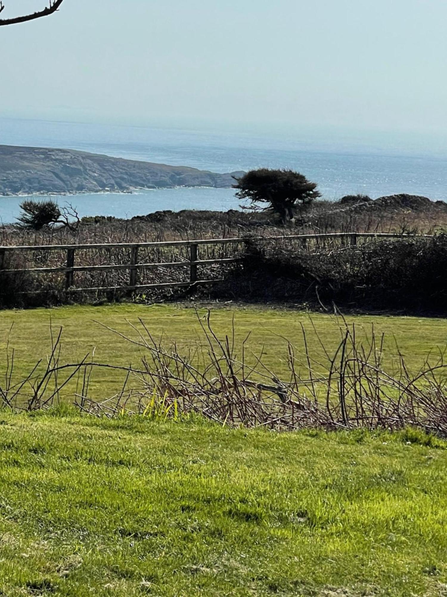 ホーリーヘッド The Little Garden Hideaway With Stunning Sea Views And Garden Bed & Breakfast エクステリア 写真